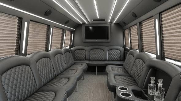 johns creek 20 passenger party bus